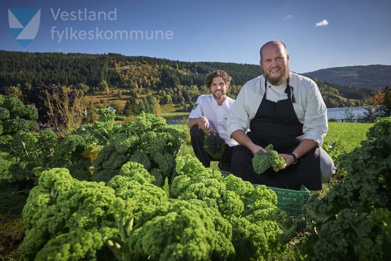 Kjøkkensjefen i brokkoliåker Foto: Morten Wanvik/Vestland fylkeskommune