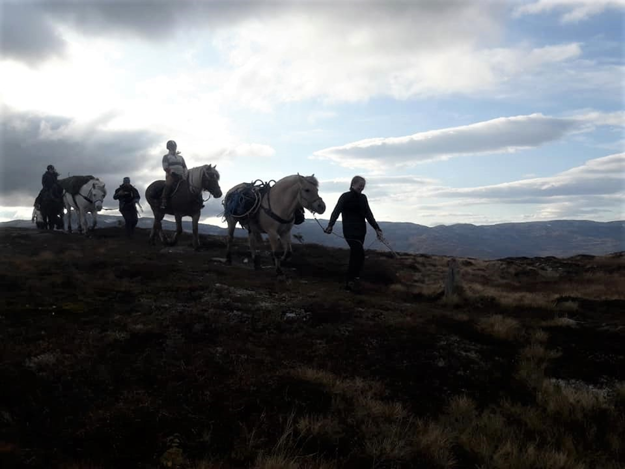 Elevar frå hestefag på ridetur i skumringa.